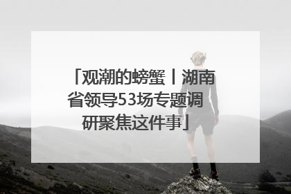 观潮的螃蟹丨湖南省领导53场专题调研聚焦这件事