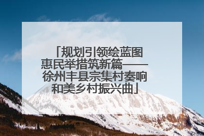 规划引领绘蓝图 惠民举措筑新篇——徐州丰县宗集村奏响和美乡村振兴曲