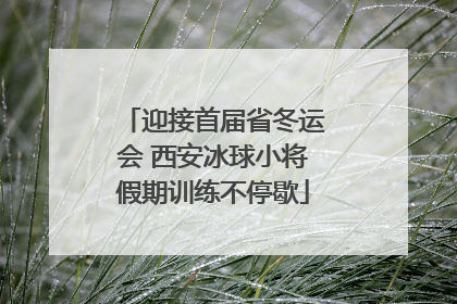 迎接首届省冬运会 西安冰球小将假期训练不停歇