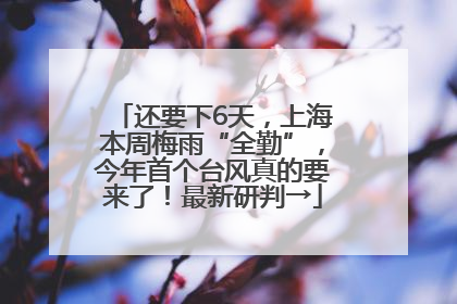 还要下6天，上海本周梅雨“全勤”，今年首个台风真的要来了！最新研判→