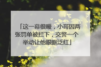 这一幕很暖，小哥因两张罚单被拦下，交警一个举动让他眼眶泛红