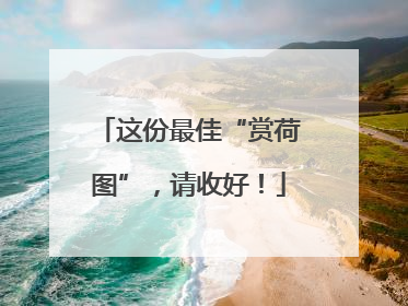 这份最佳“赏荷图”，请收好！