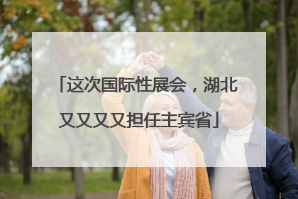 这次国际性展会，湖北又又又又担任主宾省