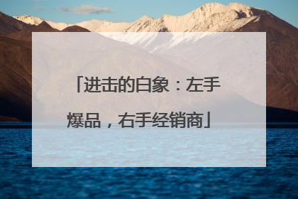 进击的白象：左手爆品，右手经销商