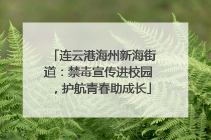 连云港海州新海街道：禁毒宣传进校园，护航青春助成长