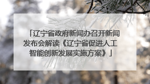 辽宁省政府新闻办召开新闻发布会解读《辽宁省促进人工智能创新发展实施方案》