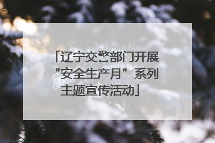 辽宁交警部门开展“安全生产月”系列主题宣传活动