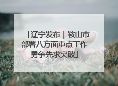 辽宁发布｜鞍山市部署八方面重点工作勇争先求突破