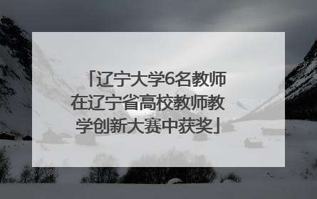 辽宁大学6名教师在辽宁省高校教师教学创新大赛中获奖