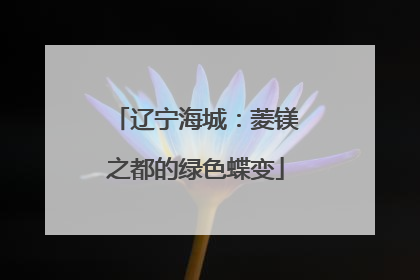辽宁海城：菱镁之都的绿色蝶变