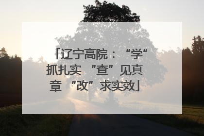 辽宁高院：“学”抓扎实 “查”见真章 “改”求实效