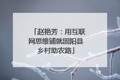 赵艳芳：用互联网思维铺就固阳县乡村助农路