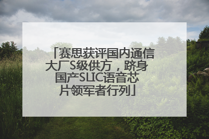 赛思获评国内通信大厂S级供方，跻身国产SLIC语音芯片领军者行列