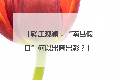 赣江观澜：“南昌假日”何以出圈出彩？