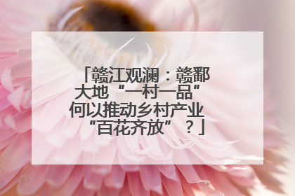 赣江观澜：赣鄱大地“一村一品”何以推动乡村产业“百花齐放”？