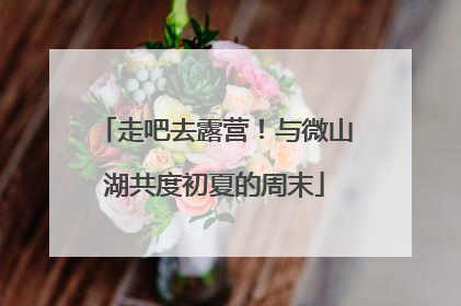 走吧去露营！与微山湖共度初夏的周末