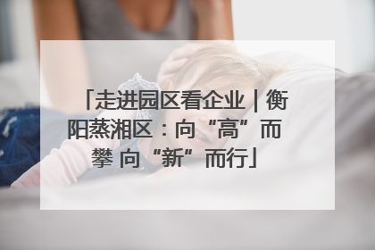 走进园区看企业｜衡阳蒸湘区：向“高”而攀 向“新”而行