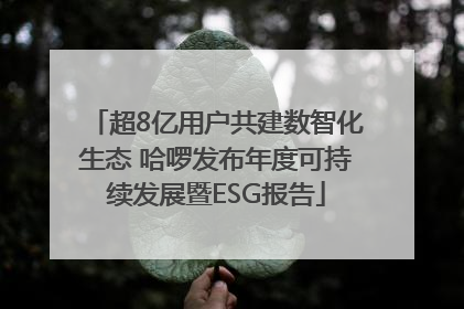超8亿用户共建数智化生态 哈啰发布年度可持续发展暨ESG报告