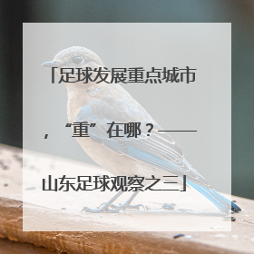 足球发展重点城市，“重”在哪？——山东足球观察之三
