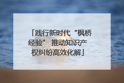 践行新时代“枫桥经验” 推动知识产权纠纷高效化解