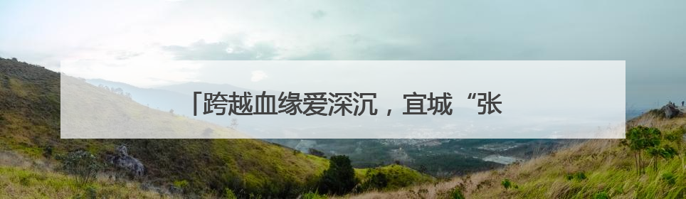 跨越血缘爱深沉，宜城“张妈妈”10年守护困境女孩