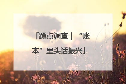 蹲点调查｜“账本”里头话振兴