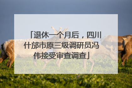 退休一个月后，四川什邡市原三级调研员冯伟接受审查调查