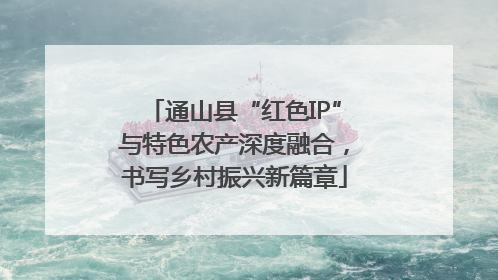 通山县“红色IP”与特色农产深度融合，书写乡村振兴新篇章