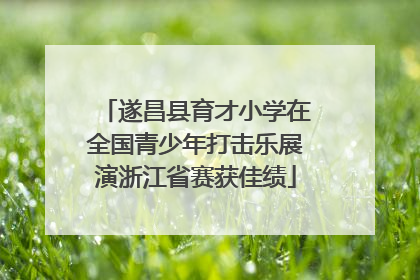 遂昌县育才小学在全国青少年打击乐展演浙江省赛获佳绩