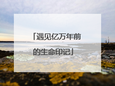 遇见亿万年前的生命印记