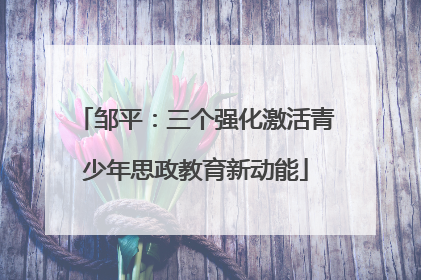 邹平：三个强化激活青少年思政教育新动能