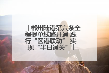 郴州陆港第六条全程提单线路开通 践行“区港联动” 实现“半日通关”