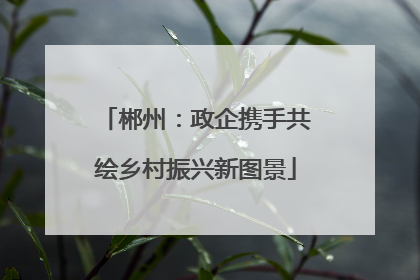 郴州：政企携手共绘乡村振兴新图景