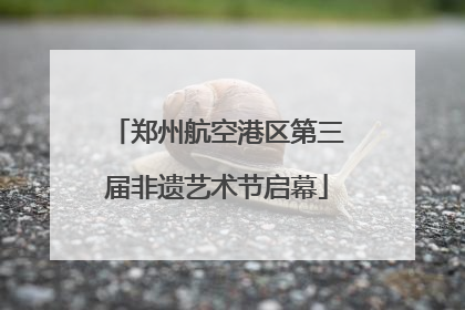 郑州航空港区第三届非遗艺术节启幕