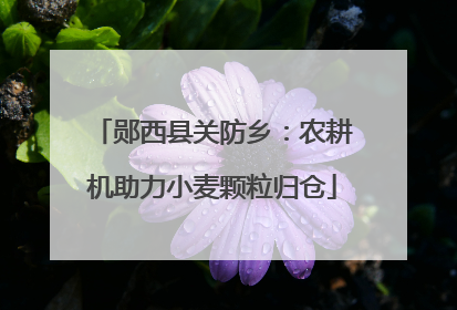 郧西县关防乡：农耕机助力小麦颗粒归仓