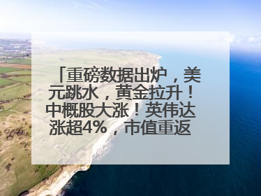 重磅数据出炉，美元跳水，黄金拉升！中概股大涨！英伟达涨超4%，市值重返全球第一！黄仁勋计划出售至多600万股股票