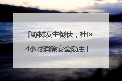 野树发生倒伏，社区4小时消除安全隐患