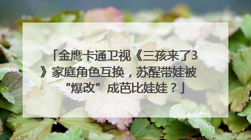 金鹰卡通卫视《三孩来了3》家庭角色互换，苏醒带娃被“爆改”成芭比娃娃？