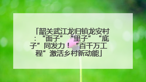 韶关武江龙归镇龙安村：“面子”“里子”“底子”同发力！“百千万工程”激活乡村新动能