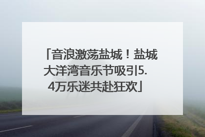 音浪激荡盐城！盐城大洋湾音乐节吸引5.4万乐迷共赴狂欢
