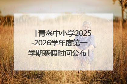 青岛中小学2025-2026学年度第一学期寒假时间公布