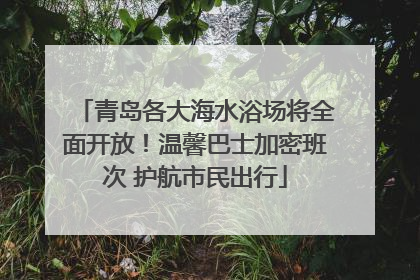 青岛各大海水浴场将全面开放！温馨巴士加密班次 护航市民出行