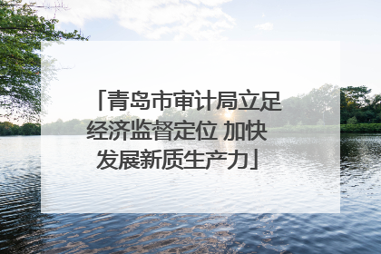 青岛市审计局立足经济监督定位 加快发展新质生产力