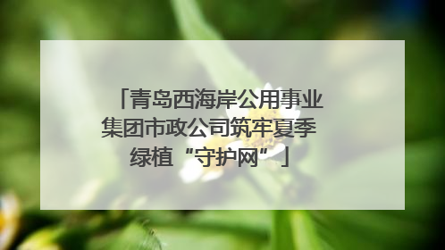 青岛西海岸公用事业集团市政公司筑牢夏季绿植“守护网”