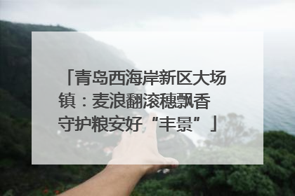 青岛西海岸新区大场镇：麦浪翻滚穗飘香 守护粮安好“丰景”