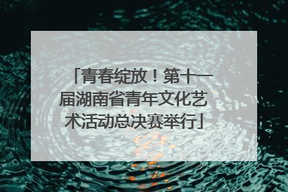 青春绽放！第十一届湖南省青年文化艺术活动总决赛举行
