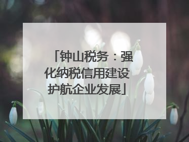 钟山税务：强化纳税信用建设护航企业发展