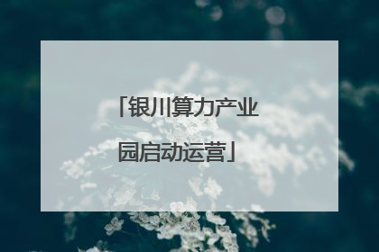 银川算力产业园启动运营