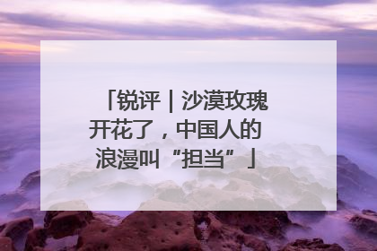 锐评｜沙漠玫瑰开花了，中国人的浪漫叫“担当”