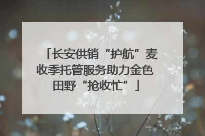 长安供销“护航”麦收季托管服务助力金色田野“抢收忙”